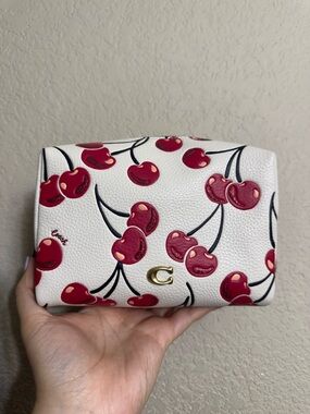 RARE Coach Essential Cherry Print Cosmetic Pouch with Gold C Hardware